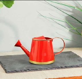 Watering Can